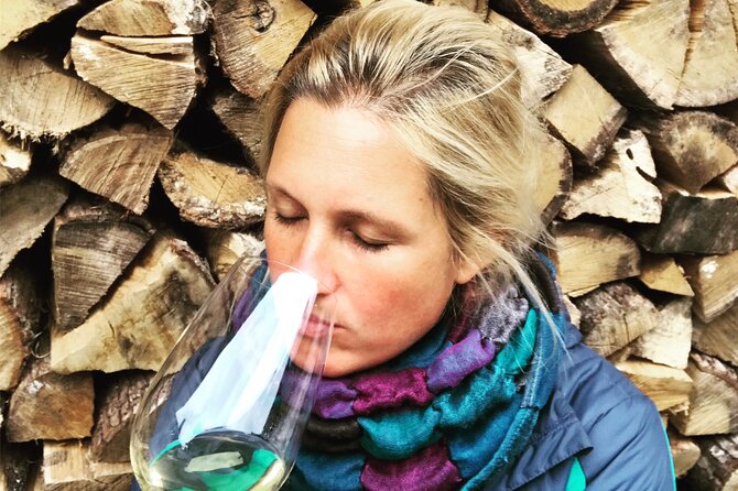 Wine Tasting in the Oldest Dated Cellar From 1683 in Vipava - Inclusions and Amenities
