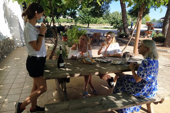 Wine Tasting Tour (Private Tour) - Tour Inclusions and Details