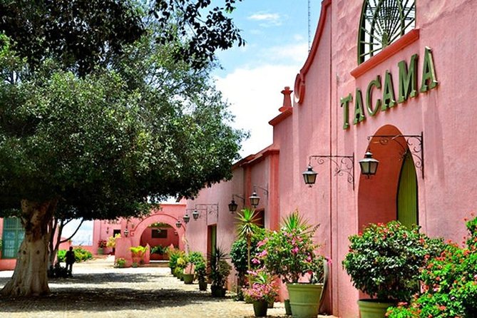 Winery and Pisco Tour in Ica - Bodega Tacama Experience