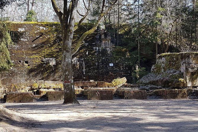 Wolfs Lair & Treblinka Tour in 1 Day From Warsaw - Important Notes