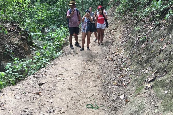 Wonderful Tour of Tayrona Park From Cartagena, Cabo San Juan Sector - Traveler Requirements and Recommendations