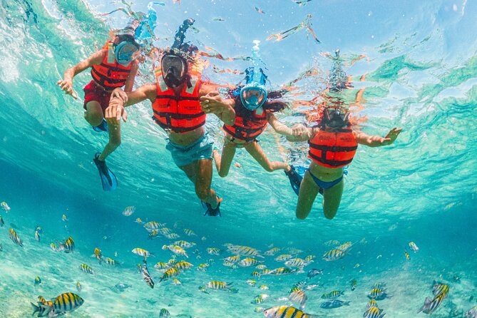 Xcaret Park Day Trip, Transportation and Cultural Night Show - Xcaret Plus Upgrade Benefits
