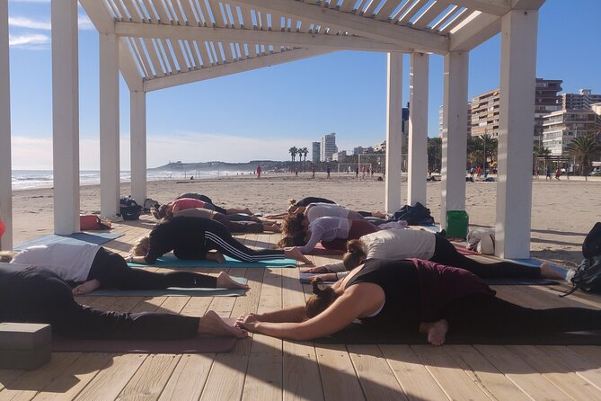 Yoga and Meditation Class in Front of the Sea and the Mountains in Alicante - Accessibility Features