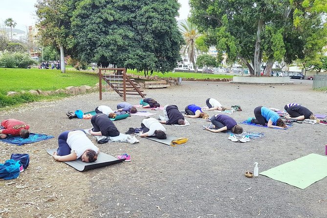 Yoga With Ale - Yoga Equipment Provided