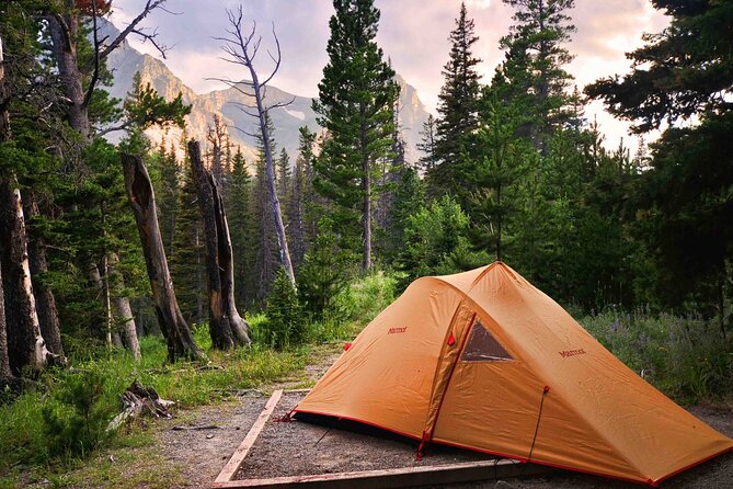 Yosemite Classic Camping Trips - Hiking Trails to Explore