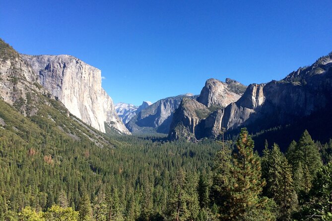 Yosemite Full Day Private Tour and Hike - Participant Details
