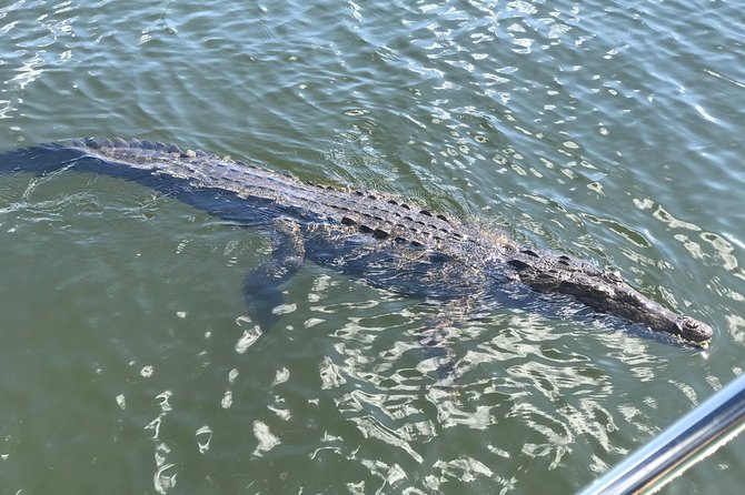 Ys Falls, Floyd's Pelican Bar, Black River Safari - Black River Safari