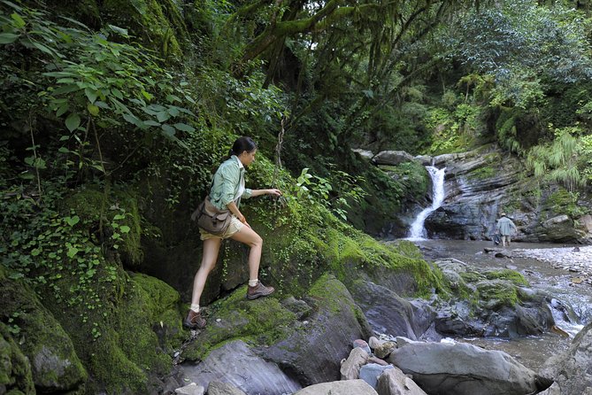 Yungas and El Rey National Park 4x4 Full Day Tour From Salta - Start Time and Pickup