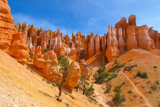 Zion and Bryce Canyon National Park Day Tour From Las Vegas - Meeting Points