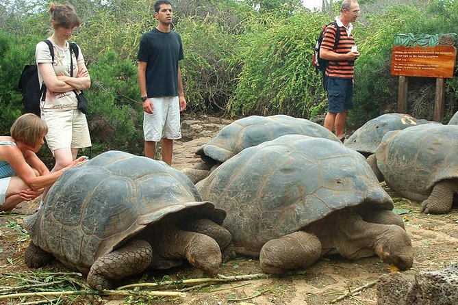 4-Day Galapagos Land Tour: San Cristobal and Santa Cruz Island - Good To Know