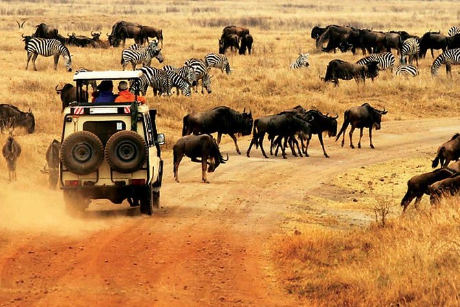 4 Day Mid-range Safari Serengeti , Ngorongoro and Tarangire National Park - Destinations Explored
