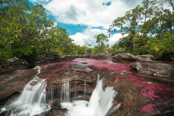 4-Day Trip to Caño Cristales (the River of Many Colors) and the Jungle - Good To Know