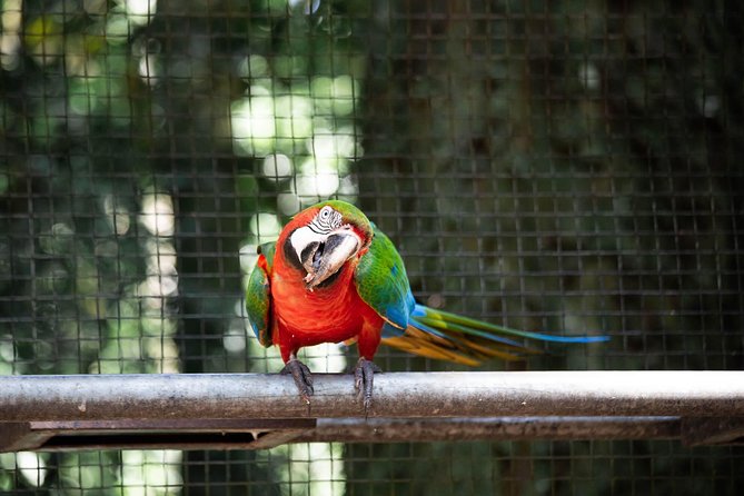 4 Days and 3 Nights 4 Stars Hotel Iguassu Falls – Private Tours
