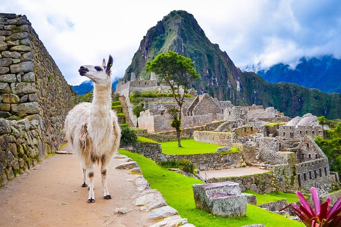 4 Days : Cusco || Sacred Valley || Machupicchu || All Included || - About Your Stay