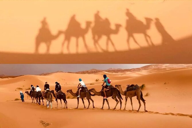4 Days Private Tour From Marrakech to Merzouga Desert - Tour Highlights