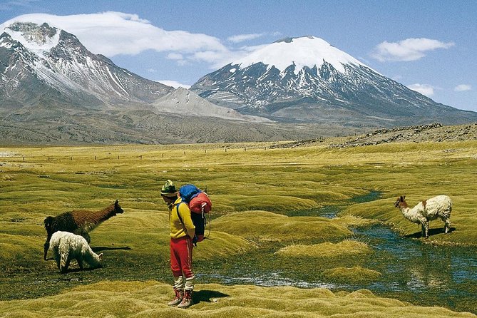 4-Days Unique Experience at the Chilean High Plateau - Good To Know