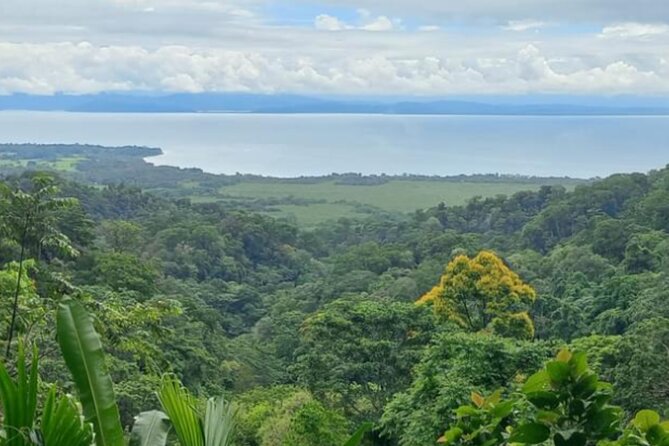 4 Hour Private Guided Tour in Osa Jungle - About Your Stay