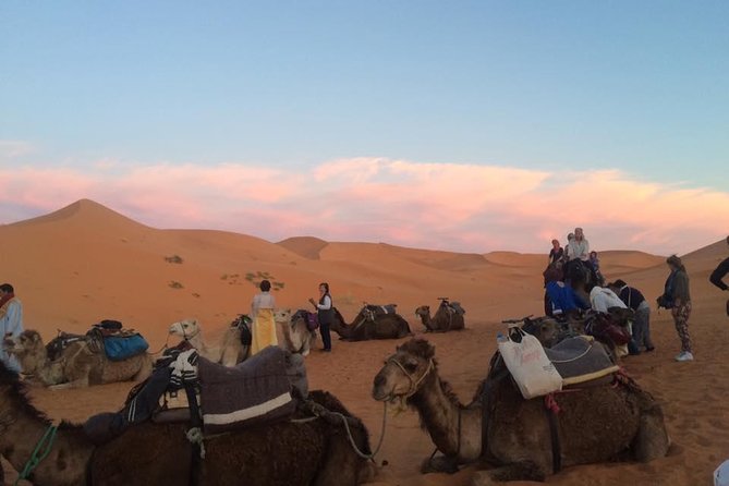 02 Days Marrakech - Ouarzazate - Zagora - Pickup Information