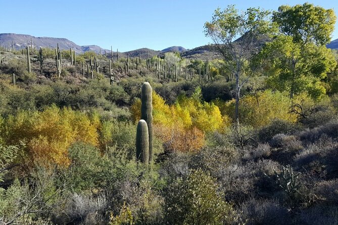 1-2 Hour Jewel of the Creek Private Guided Hiking Tour - Booking Information