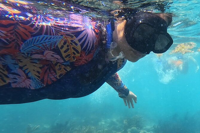 1.5 Hours Snorkeling at Tulums Paradise Reef - Customer Reviews