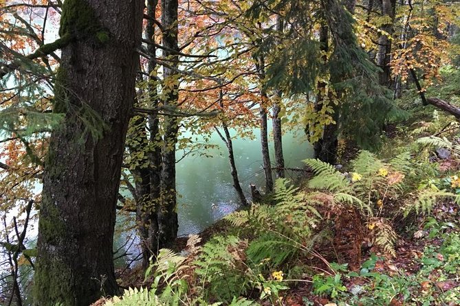1 Day 4x4 Tour in Carpathian Mountains - Cancellation Policy