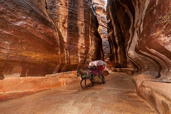 1 Day Tour to Petra From Eilat - Booking and Cancellation
