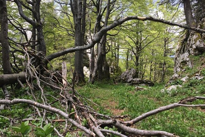 1 Day White Rocks Wilderness - Vihoraski Trail Hike From Zagreb - Physical Fitness Requirements