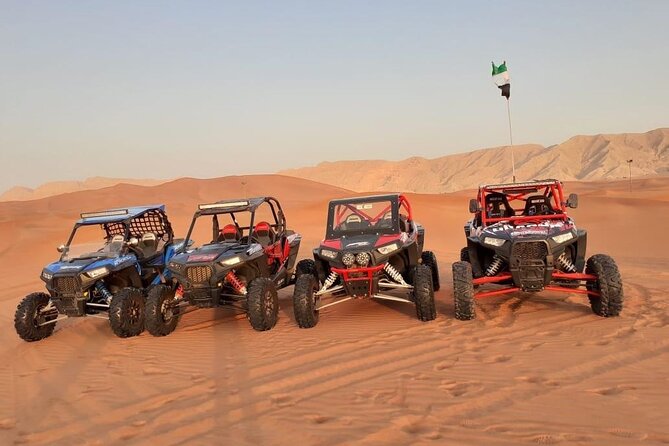 1-Hour Dune Buggy Self Drive With Camel Ride and Sand Boarding in Red Dunes - Tour Participant Requirements and Accessibility