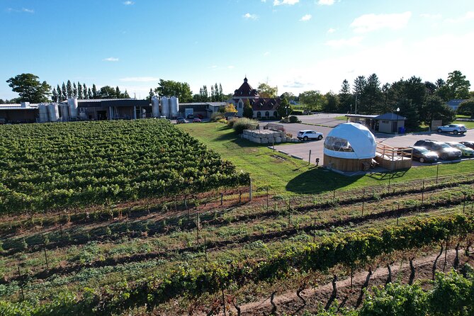 1 Hour Private Vineyard Dome Experience in Niagara-on-the-Lake - Special Features