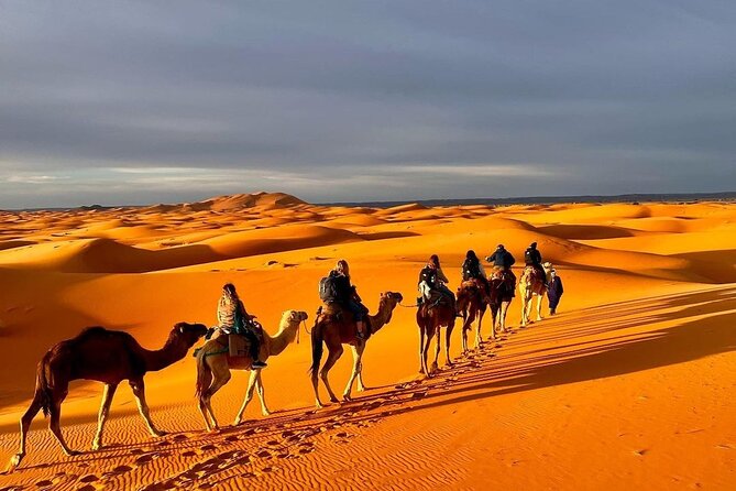 1 Night Camel Trekking in Merzouga - Dining Options Available