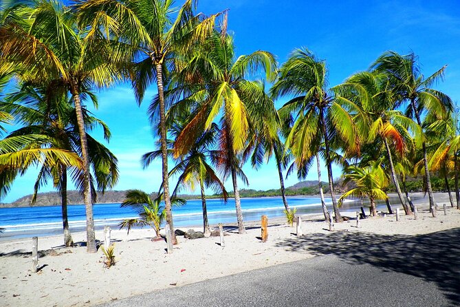 10-Day Natural Beauty Tour in Costa Rica - Relaxation at Carrillo Beach