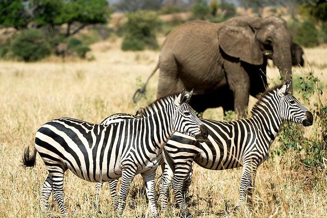 10 Days / 9 Nights Join Group Safari - Accommodation Options
