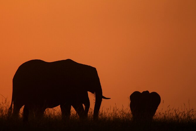 10 -Days Best of Kenya and Tanzania Classic Safari - Transportation and Logistics