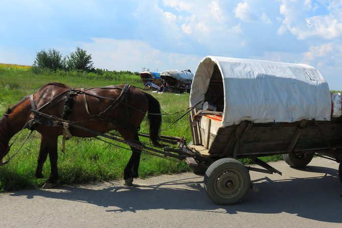 100 Km by Bike Near Bucharest - Health and Safety Tips
