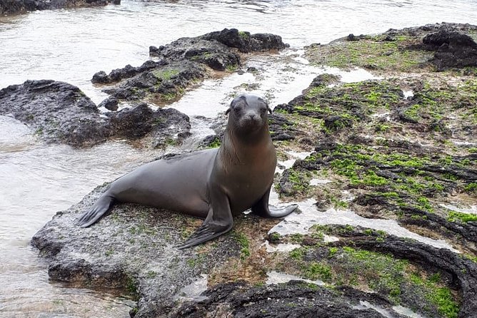 11 Days Galapagos Full Experiences Santa Cruz- Isabela - San Cristobal - Pricing and Additional Costs