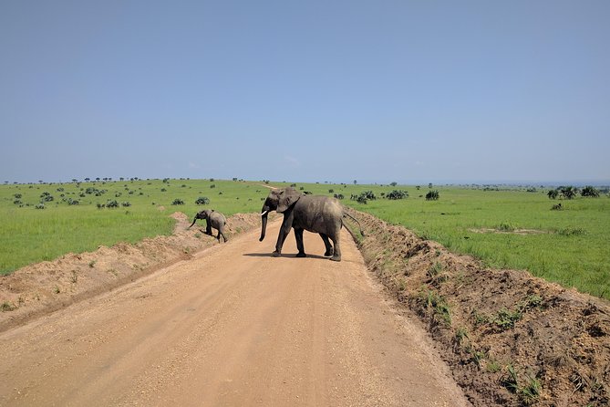 11 Days Uganda +Gorillas - Accessibility Features