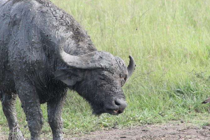 12-Day Pearl of Africa Wildlife and Adventure Highlights - Adventure Activities
