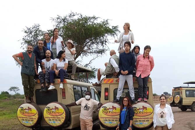 15-DAY Gorilla and Chimps Trekking, Big 5 and Nature Sighting Safari - Encountering Chimpanzee Communities
