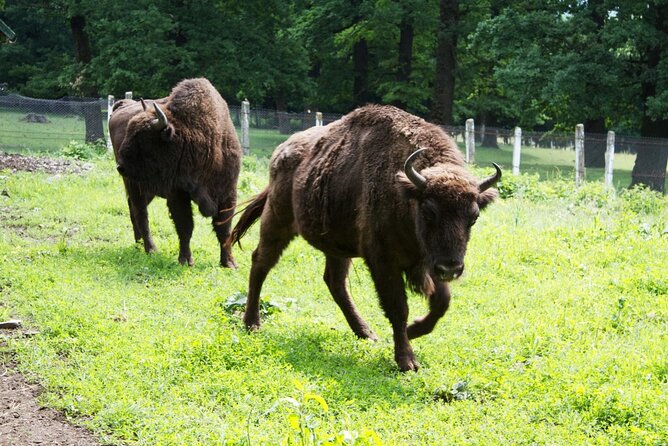 15 Days Private Tour in Romania, Moldova and Transnistria - Accommodation and Dining Experiences