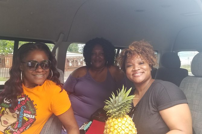 15. Ocho Rios Highlite Private Sightseeing, Shopping Half Day Guided Tours - Customer Reviews