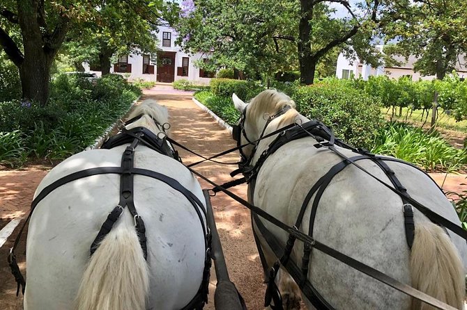 1h – Carriage Trail - Guest Reviews and Feedback