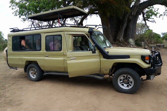 2-Day Private Mikumi National Park Tour With Pickup - Accommodation Options