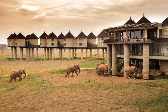 2-Day Safari in Taita Hills From Mombasa - Pickup and Meeting Details