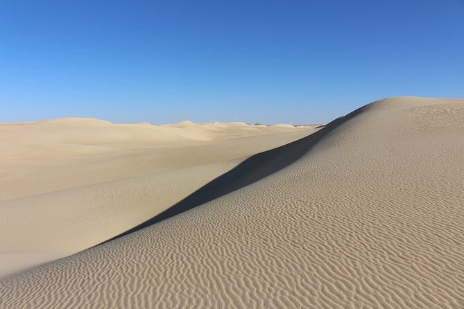 2 Day Safari in the White and Black Desert - Witnessing the Desert Sunrise