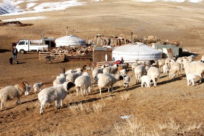 2 Day Semi-Gobi Tour With Nomads and Free Camel Ride - Preparation Tips