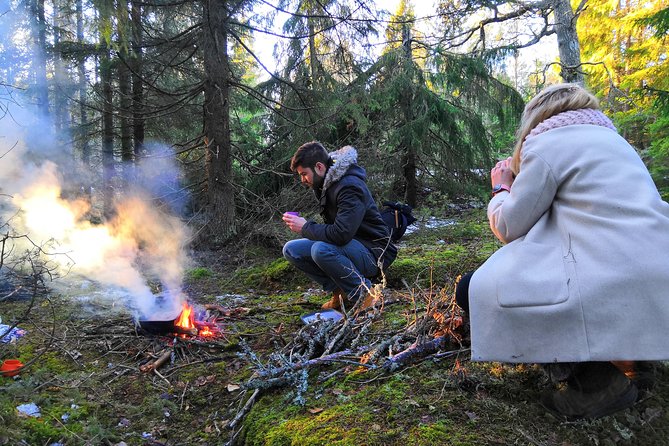 2-Day Small-Group Stockholm Hiking Tours - Accessibility and Recommendations
