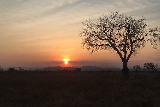 2 Days 1 Night Mikumi National Park - Meeting Points and Pickup