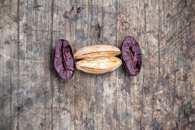 2 Days/1 Night Tour: Be Immersed in a Cocoa Farm in the Jungle of Cusco - Pickup and Transportation Details