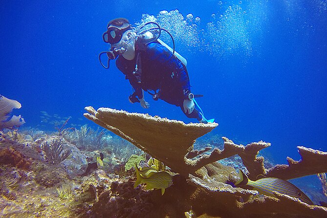 2 Days Class: SDI Open Water Diver Certification in Cancun - Cancellation and Refund
