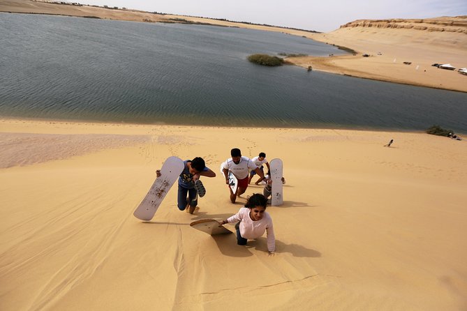 2 Days Desert Safari Trip to Fayoum Oasis From Cairo - Transportation Details